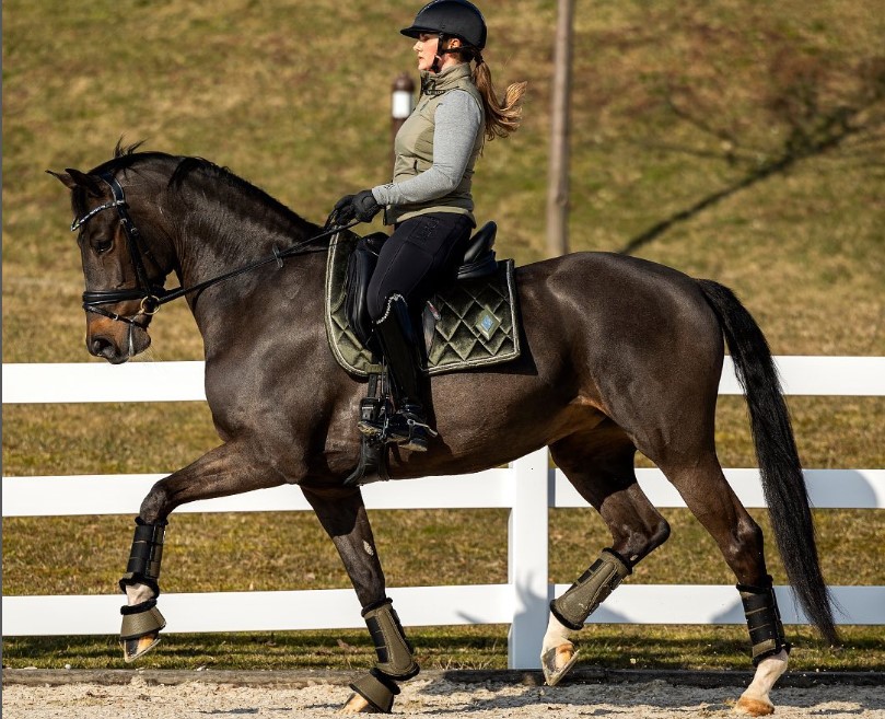 人気No.1 【セール】LAGUSO ラグゾ 乗馬用品 乗馬ウェア トレーニング
